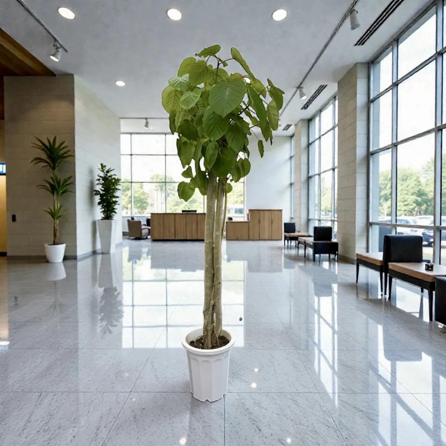 観葉植物のレンタル