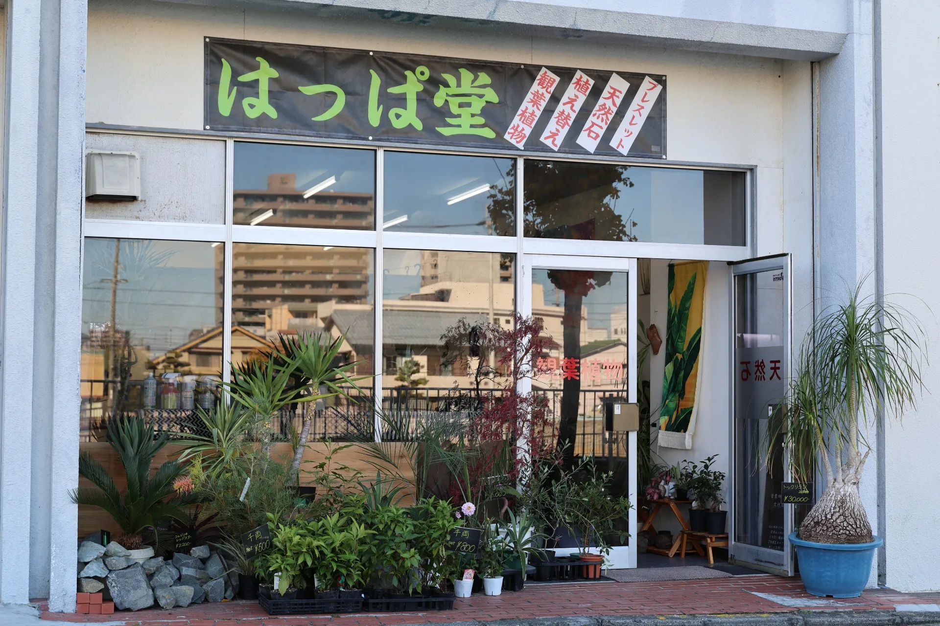 はっぱ堂オリジナルホームページを開設しました！