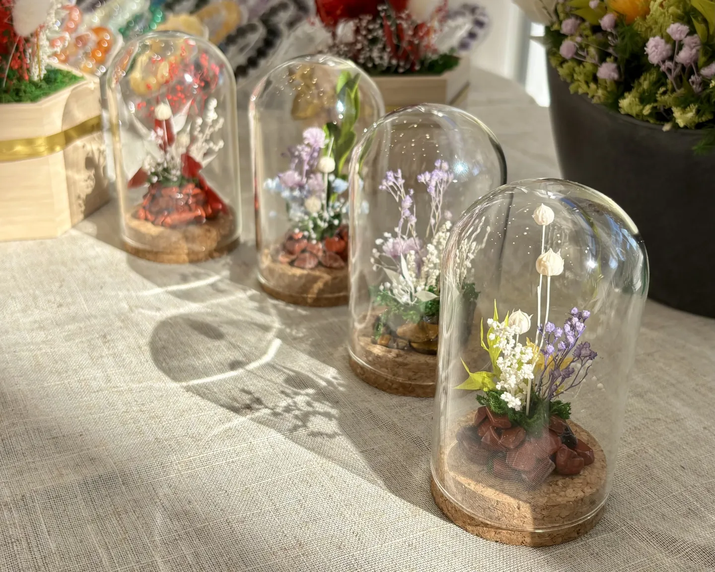 こんにちは、はっぱ堂です🪴