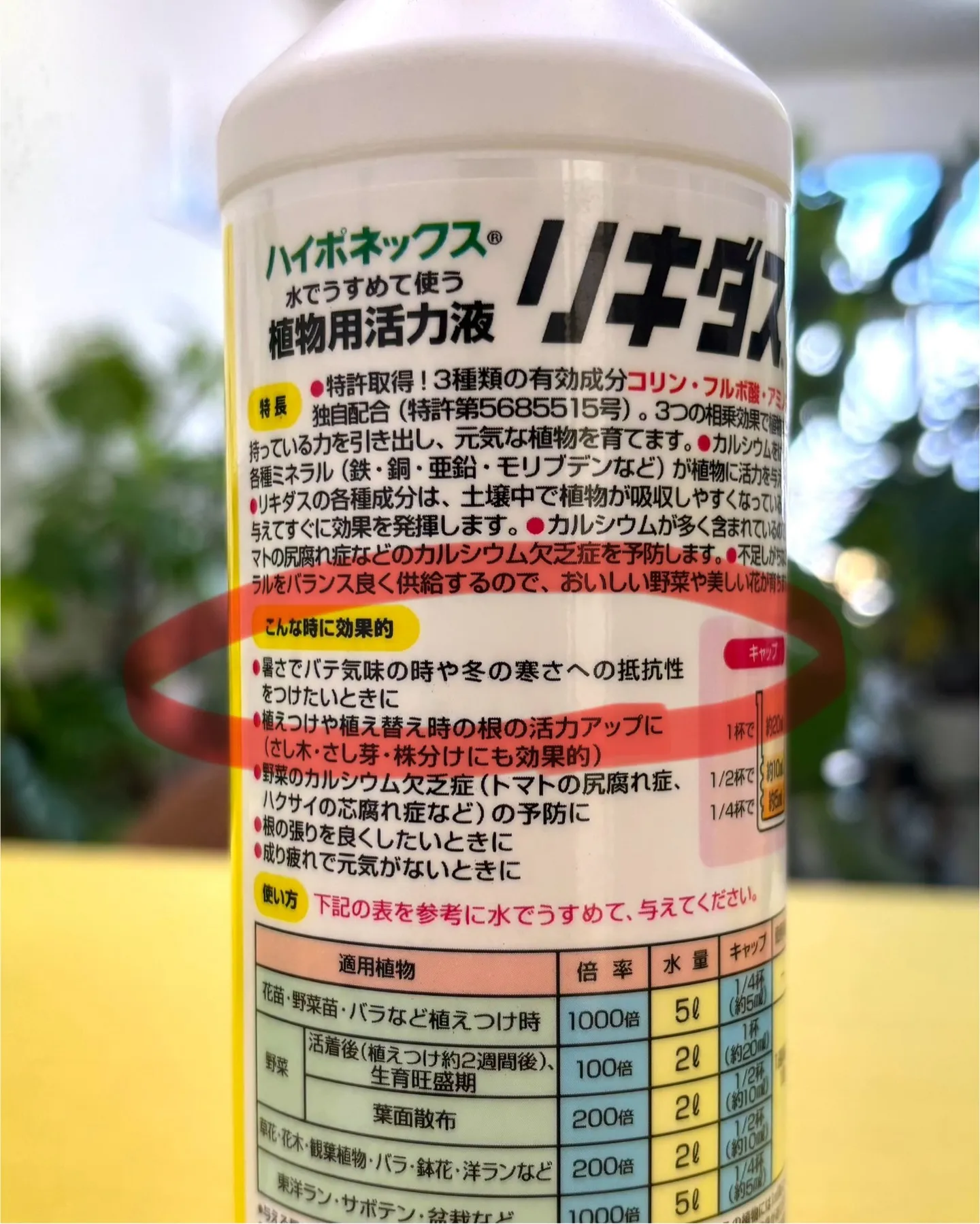 こんにちは、はっぱ堂です🪴