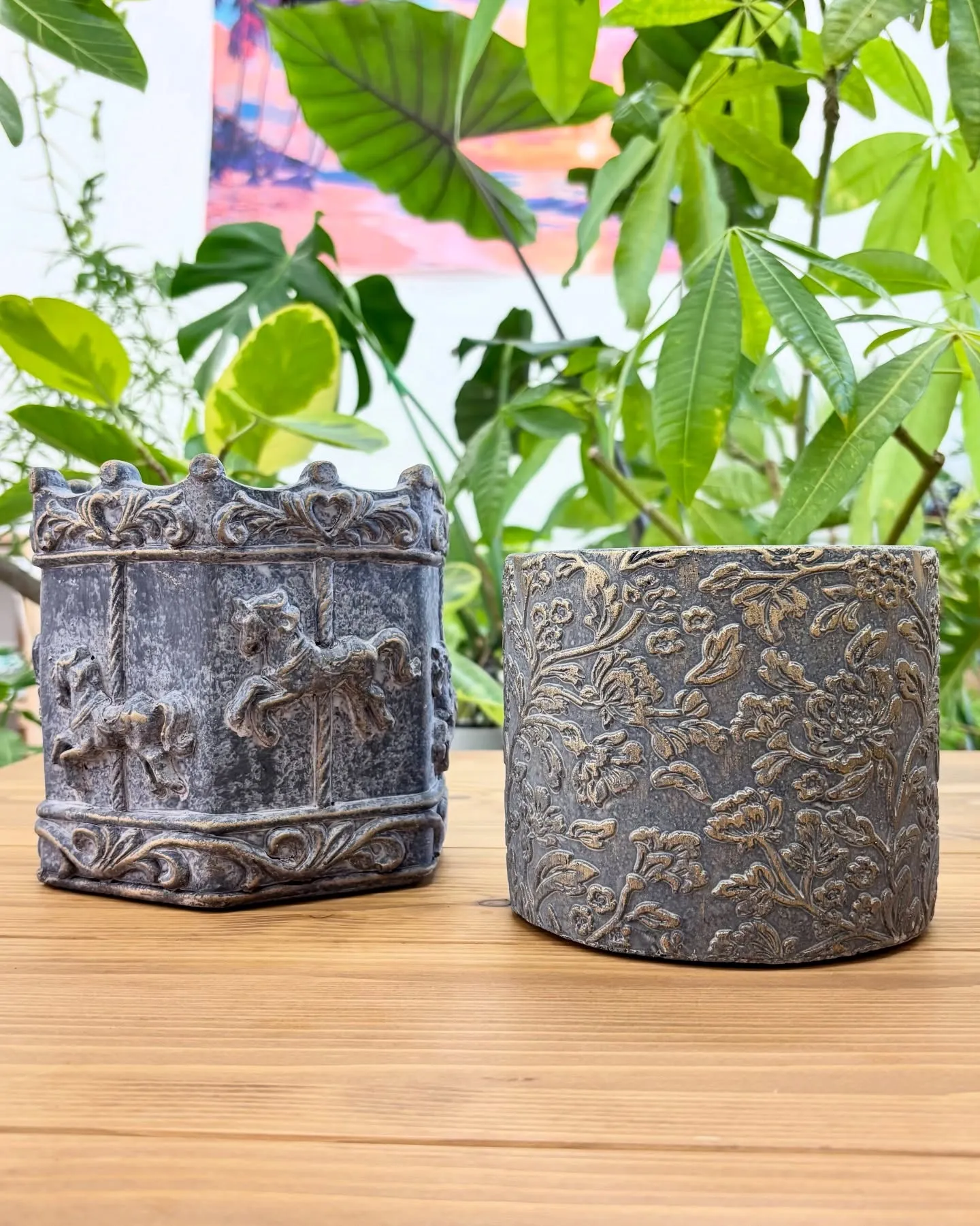 こんにちは、はっぱ堂です🪴