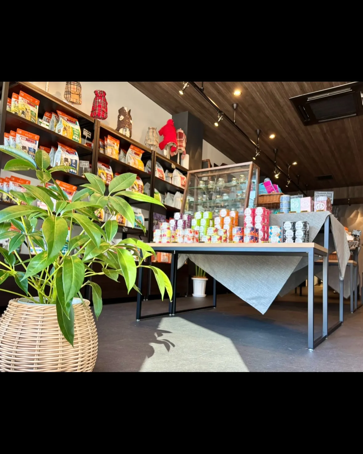 こんにちは、はっぱ堂です🪴