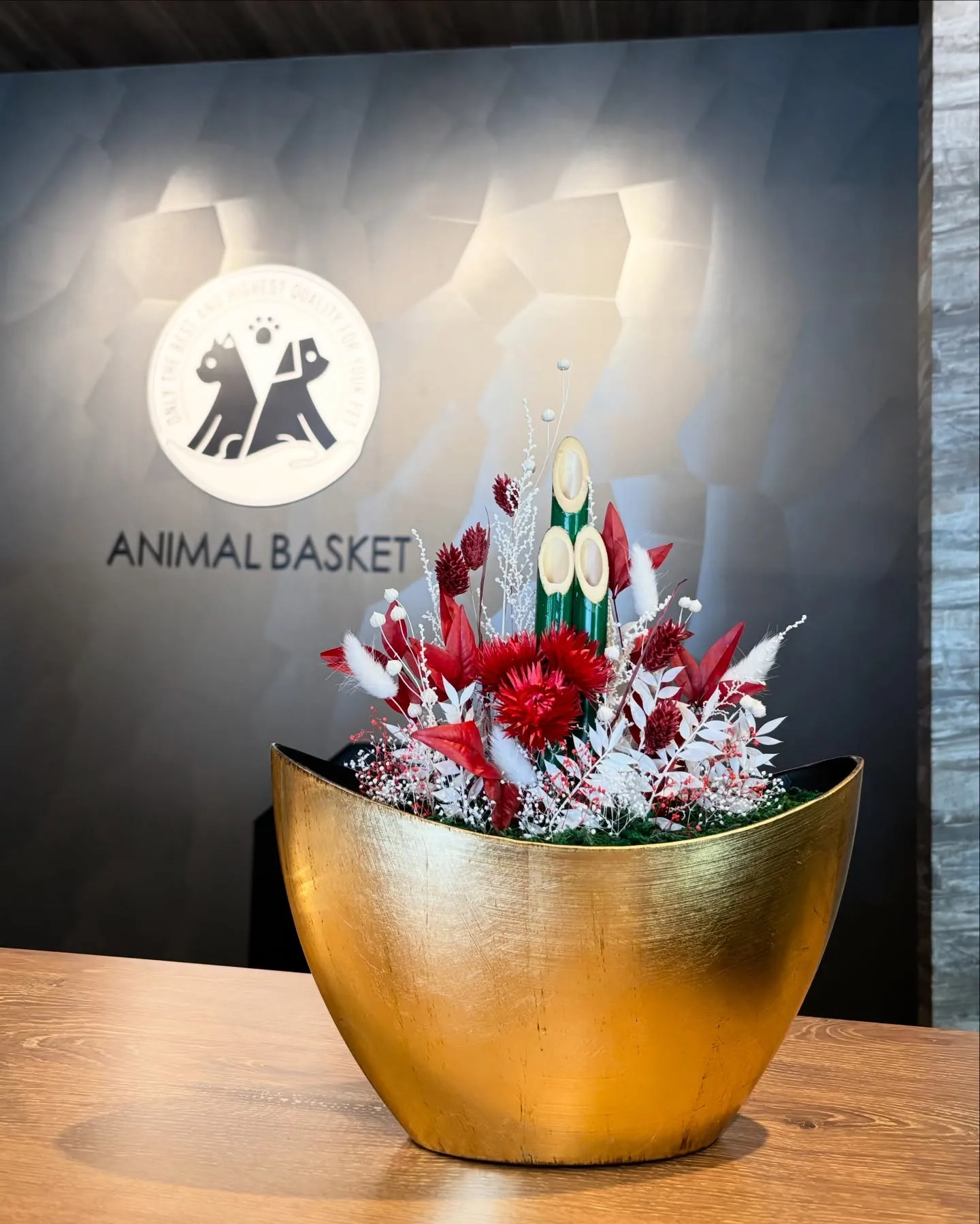 こんにちは、はっぱ堂です🪴