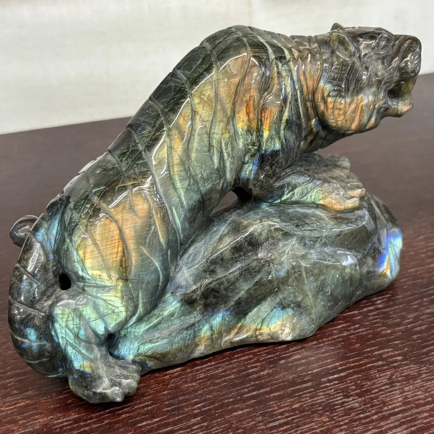 こんにちは、はっぱ堂です🪴