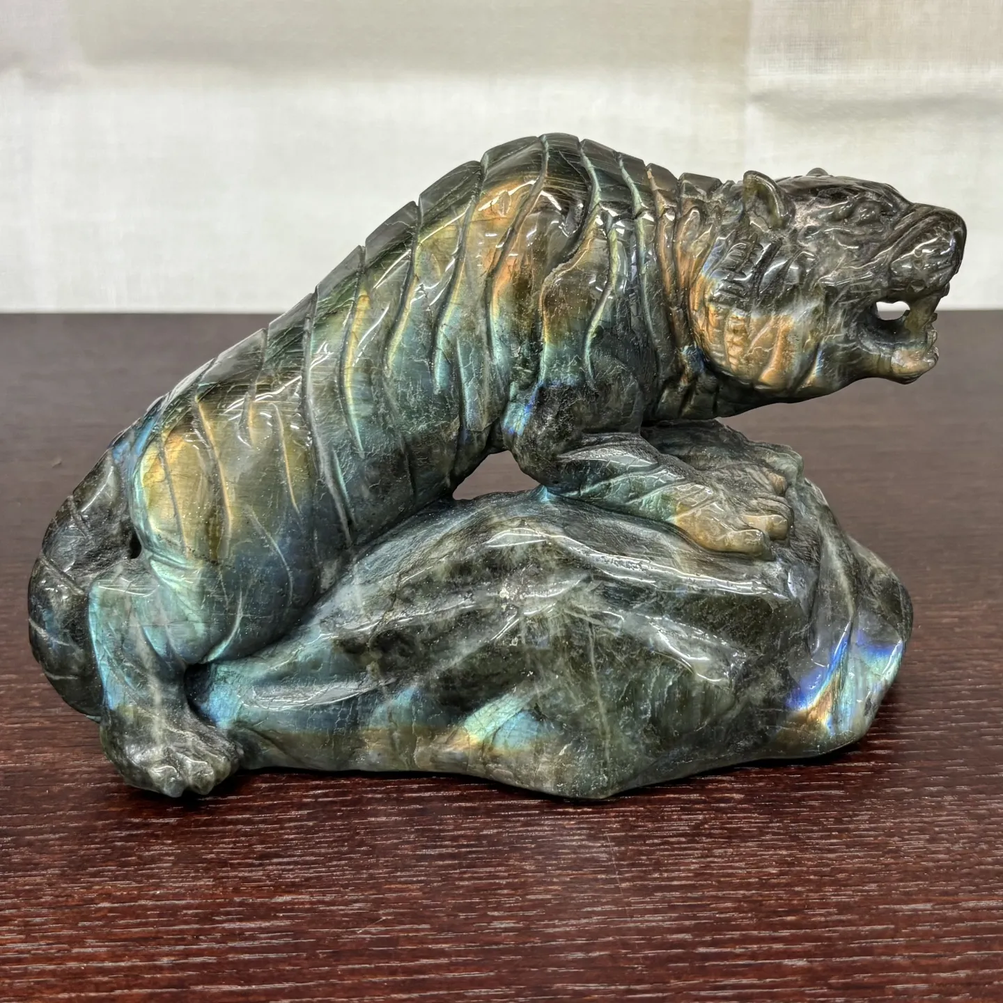 こんにちは、はっぱ堂です🪴