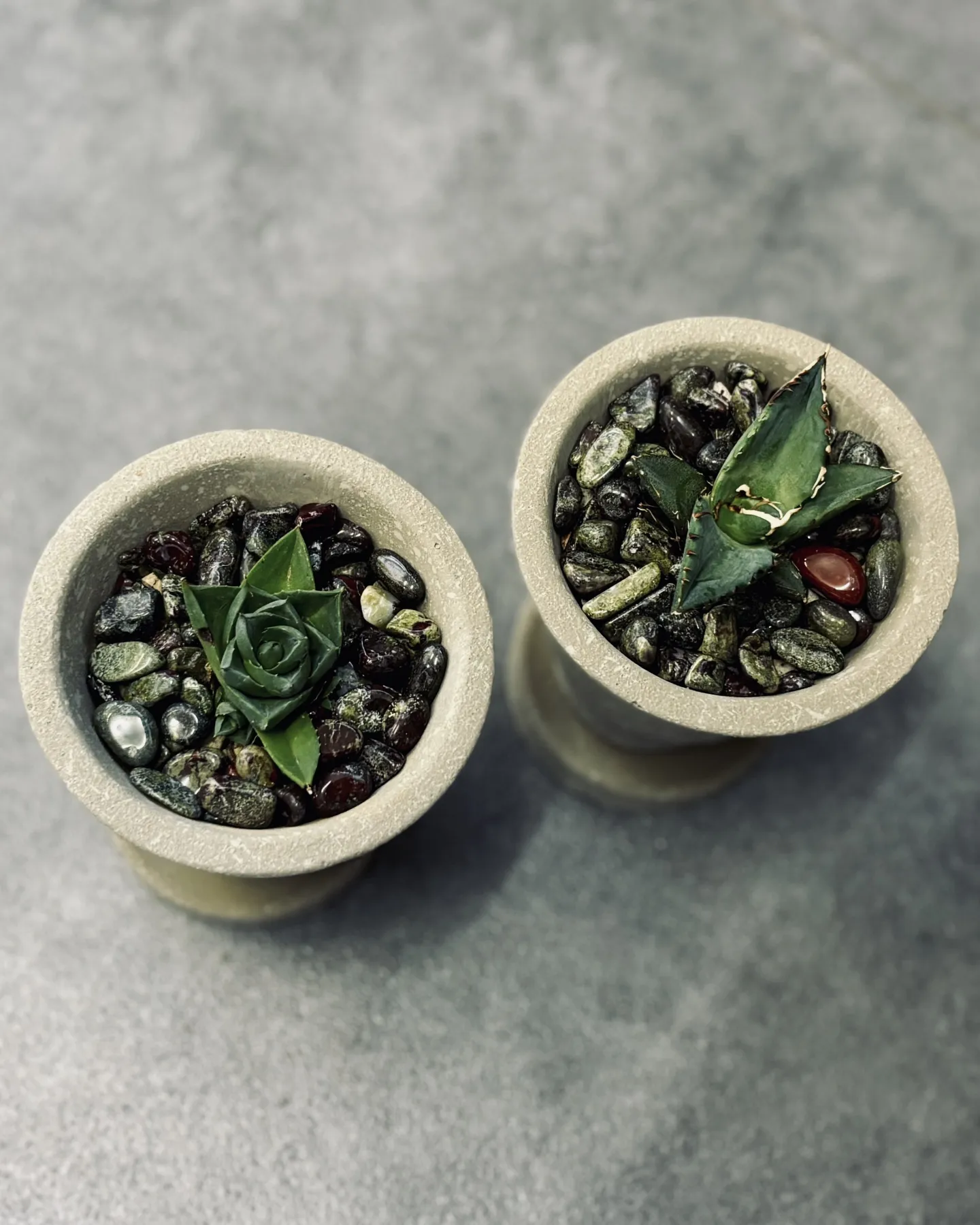 こんにちは、はっぱ堂です🪴