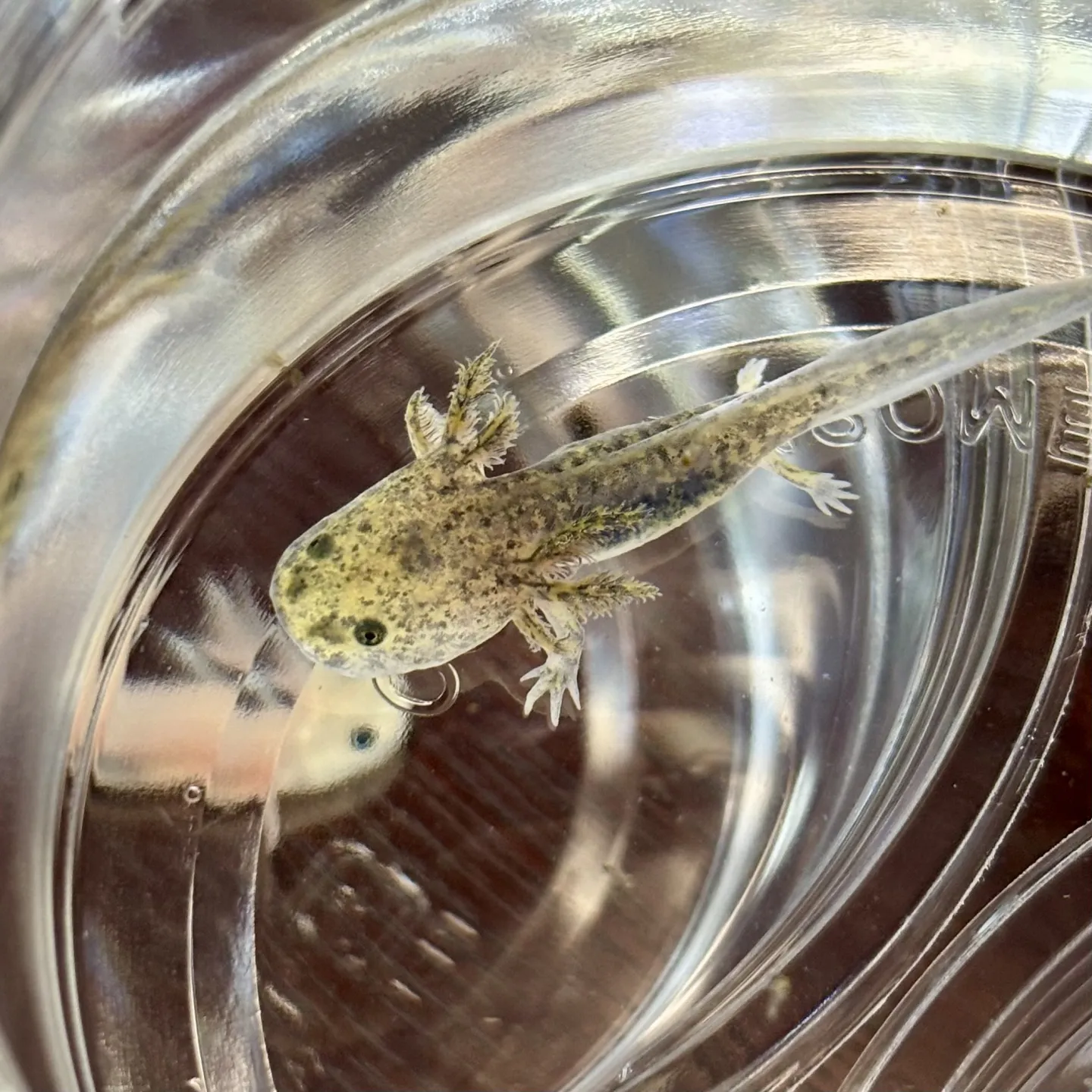 こんにちは、はっぱ堂です🪴