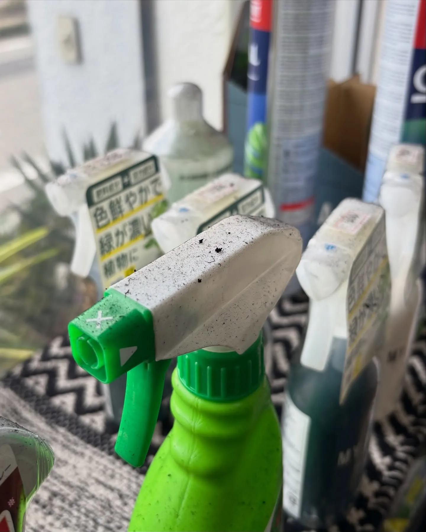 昨日に続き、本日も臨時休業とさせていただきました。