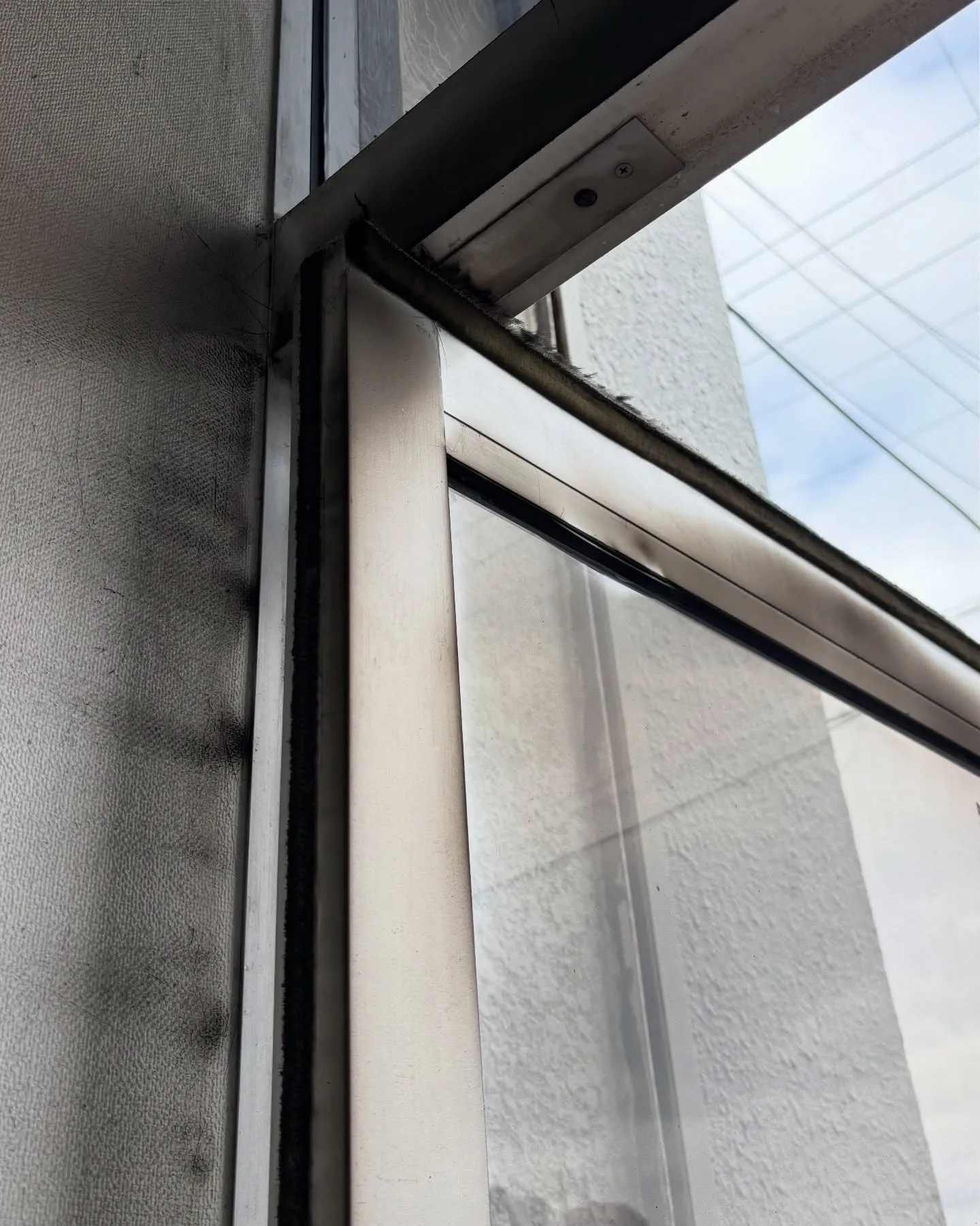 昨日に続き、本日も臨時休業とさせていただきました。