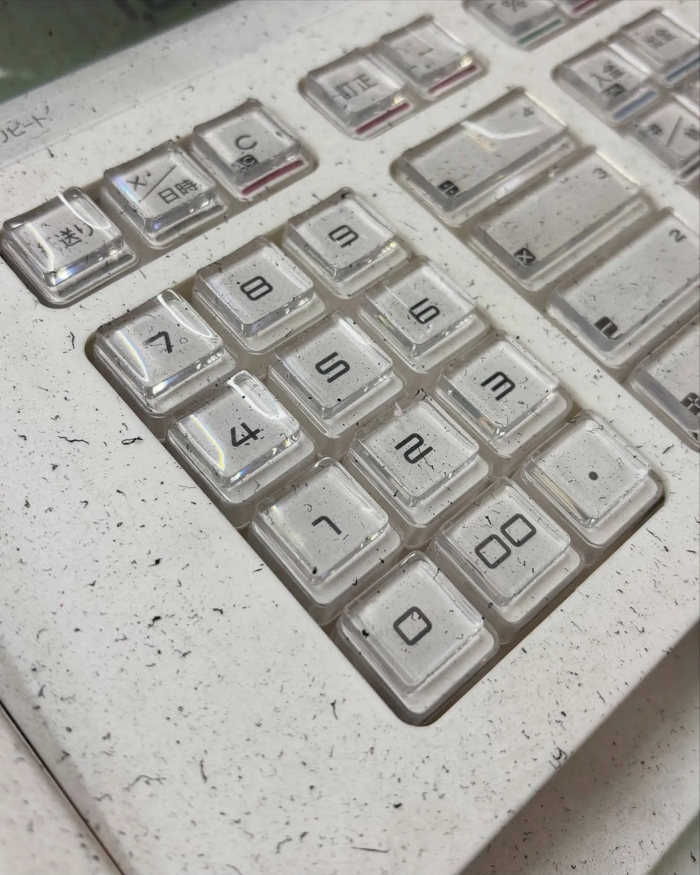 昨日に続き、本日も臨時休業とさせていただきました。