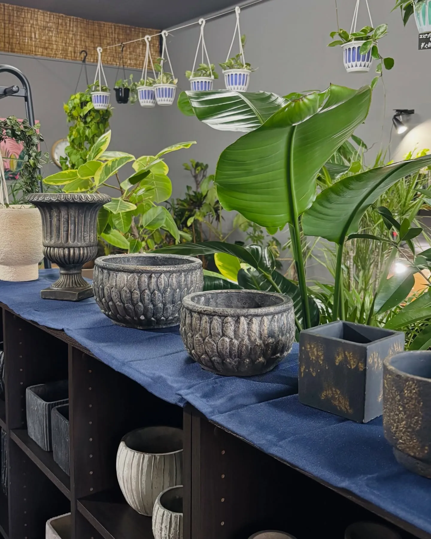 無事に営業が再開できました！