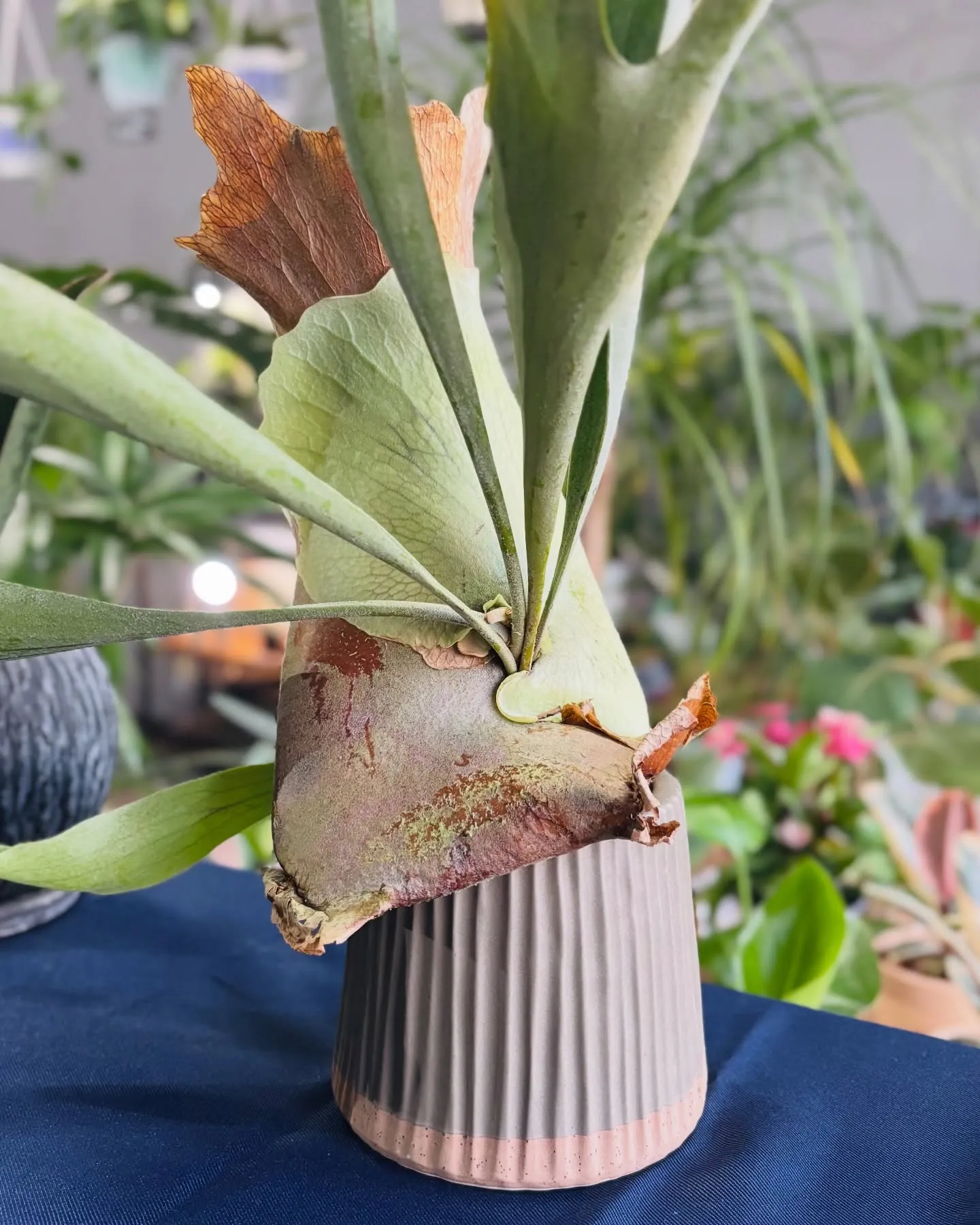 無事に営業が再開できました！