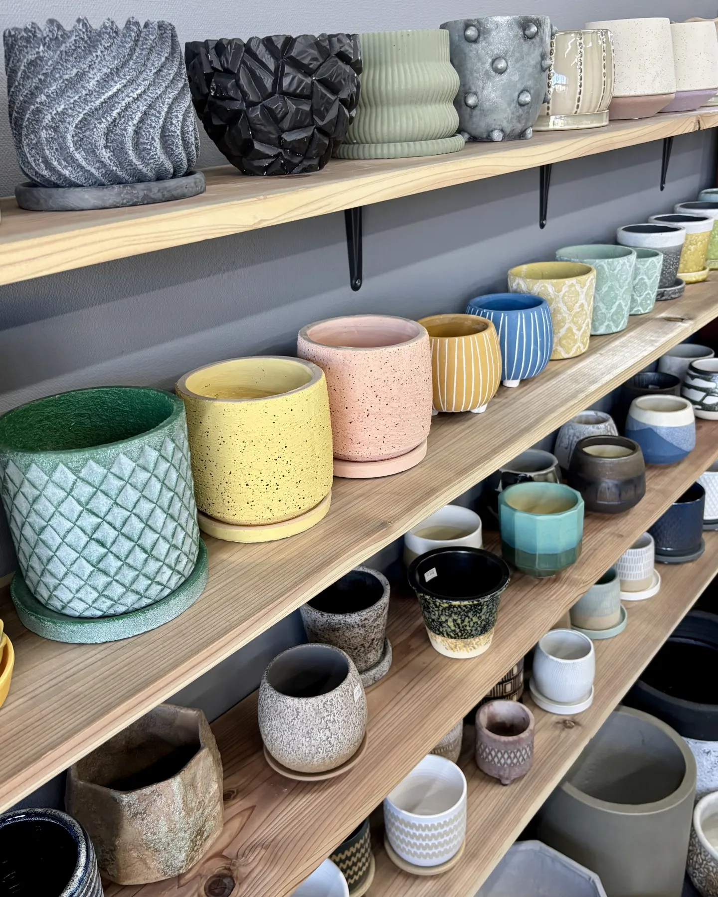 こんにちは、はっぱ堂です🪴