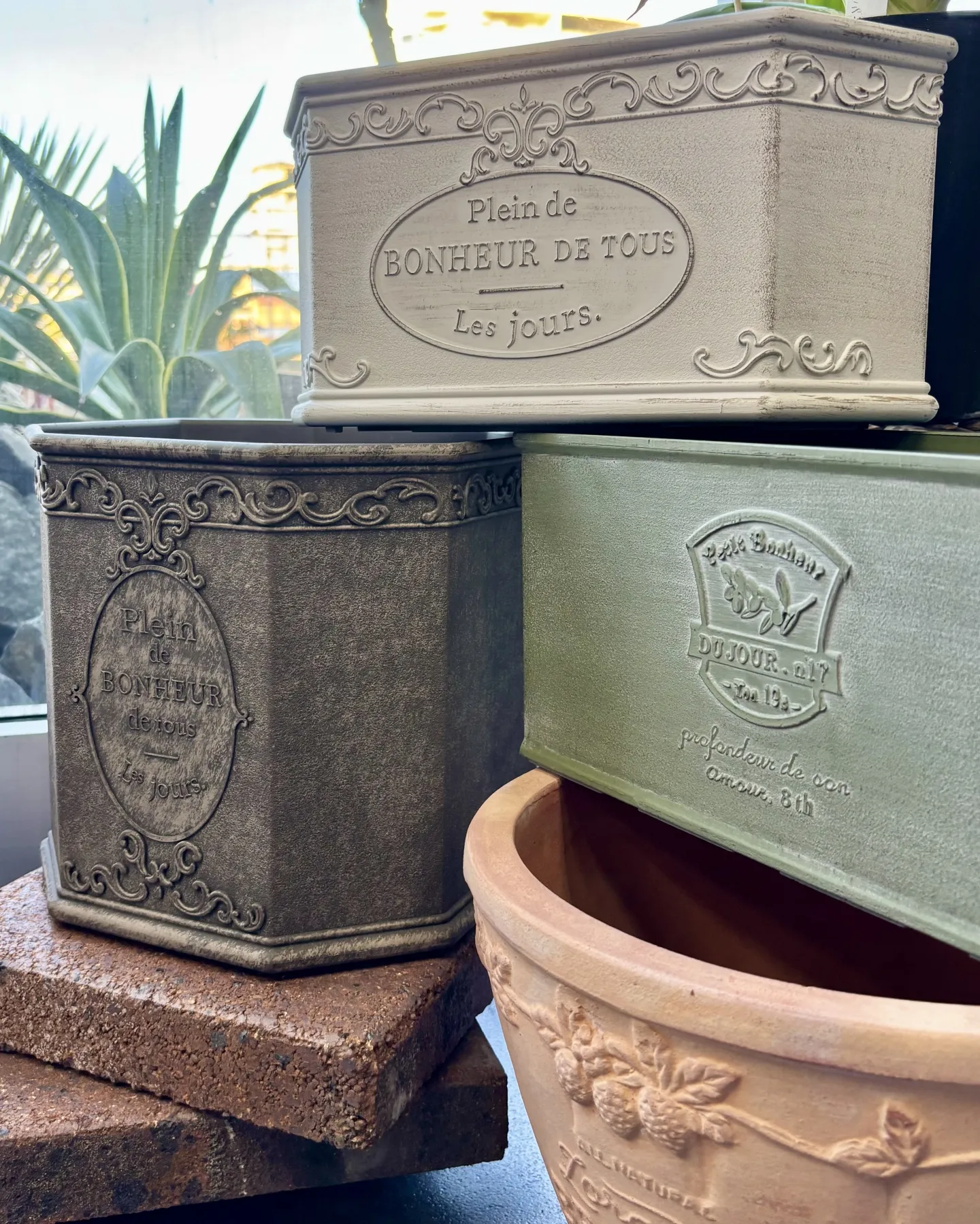 こんにちは、はっぱ堂です🪴