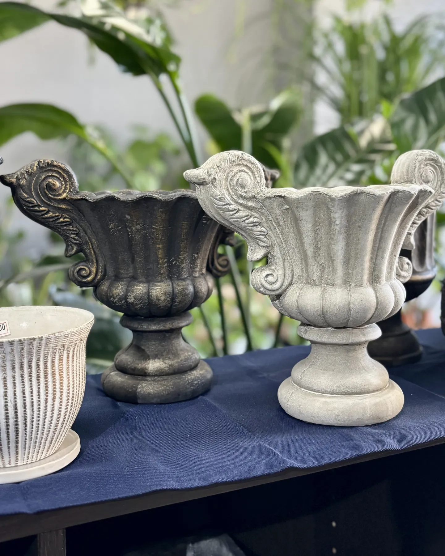 こんにちは、はっぱ堂です🪴