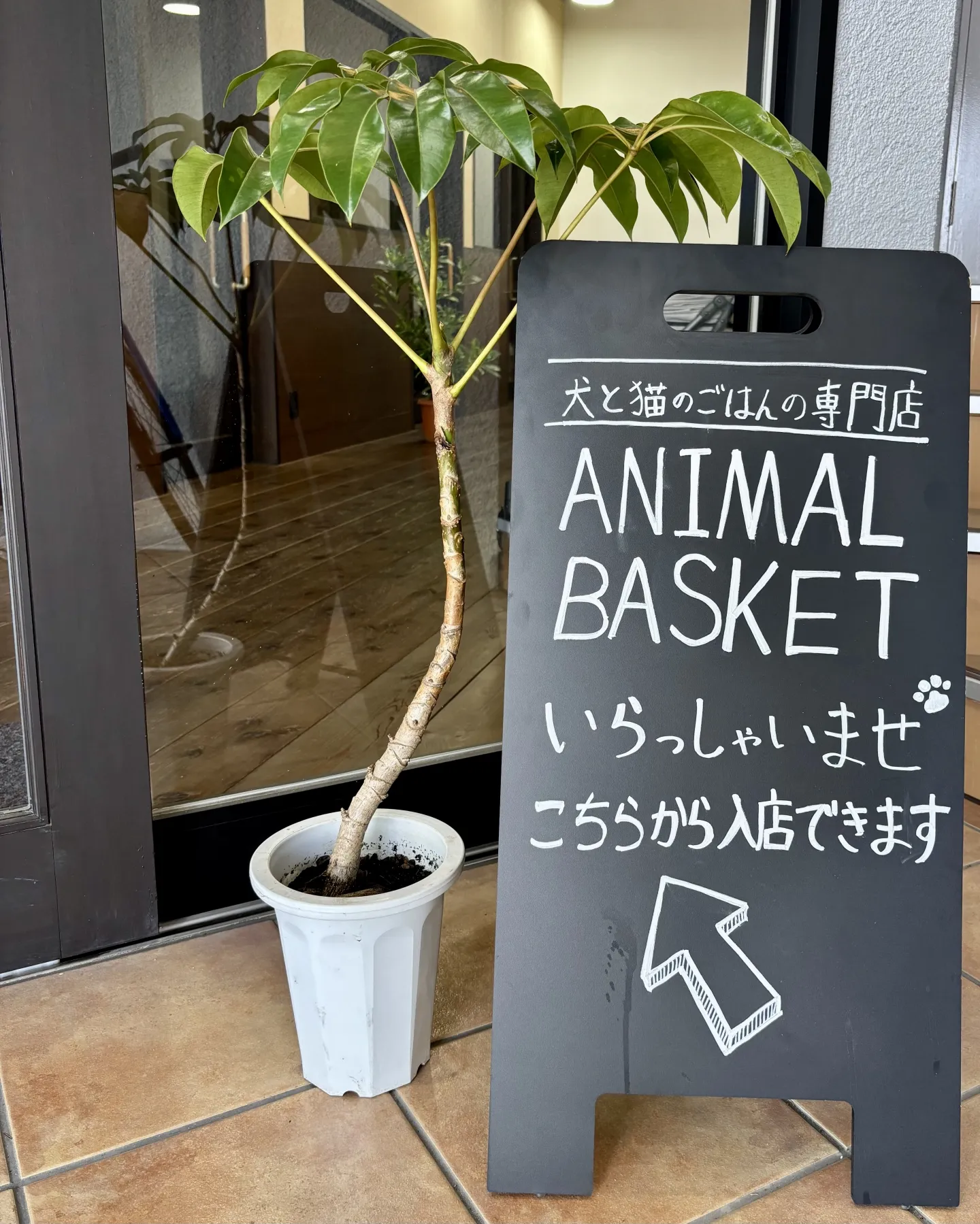 こんにちは、はっぱ堂です🪴