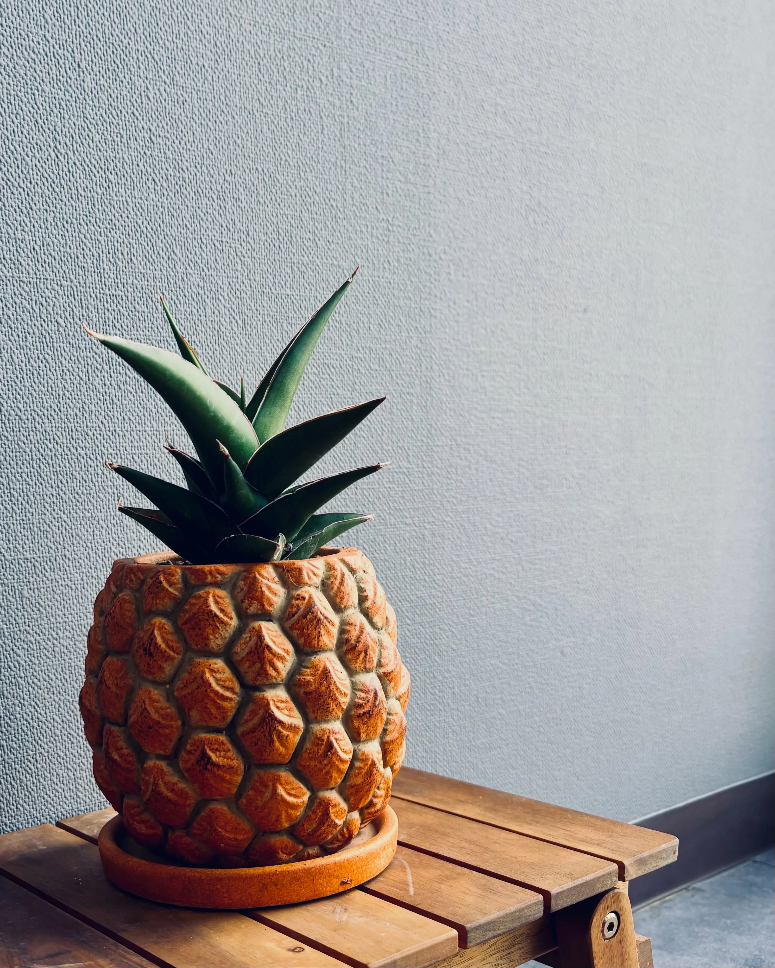 パイナップルかと思ったら〜