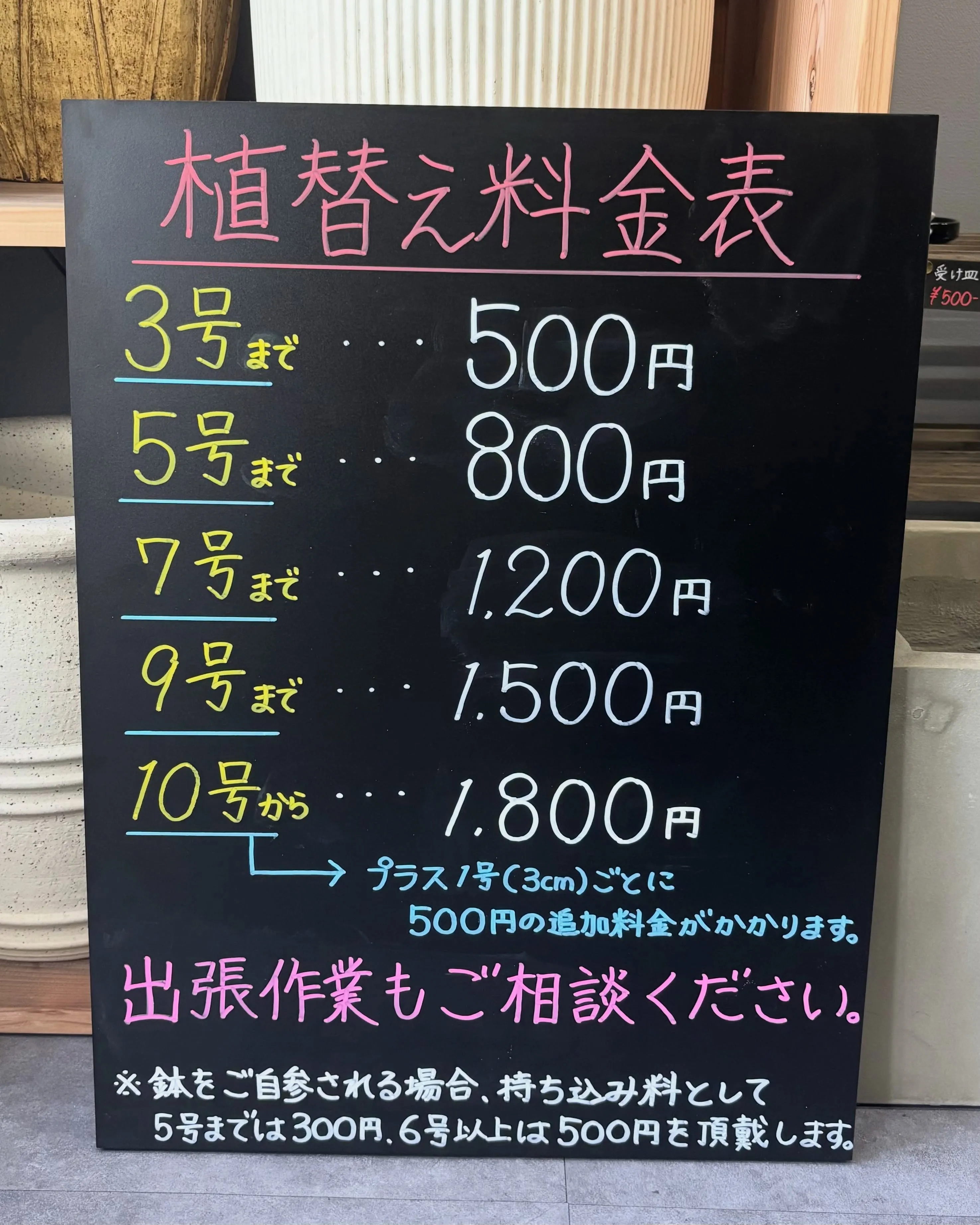 《植替えするなら今月がかなりお得🪴》