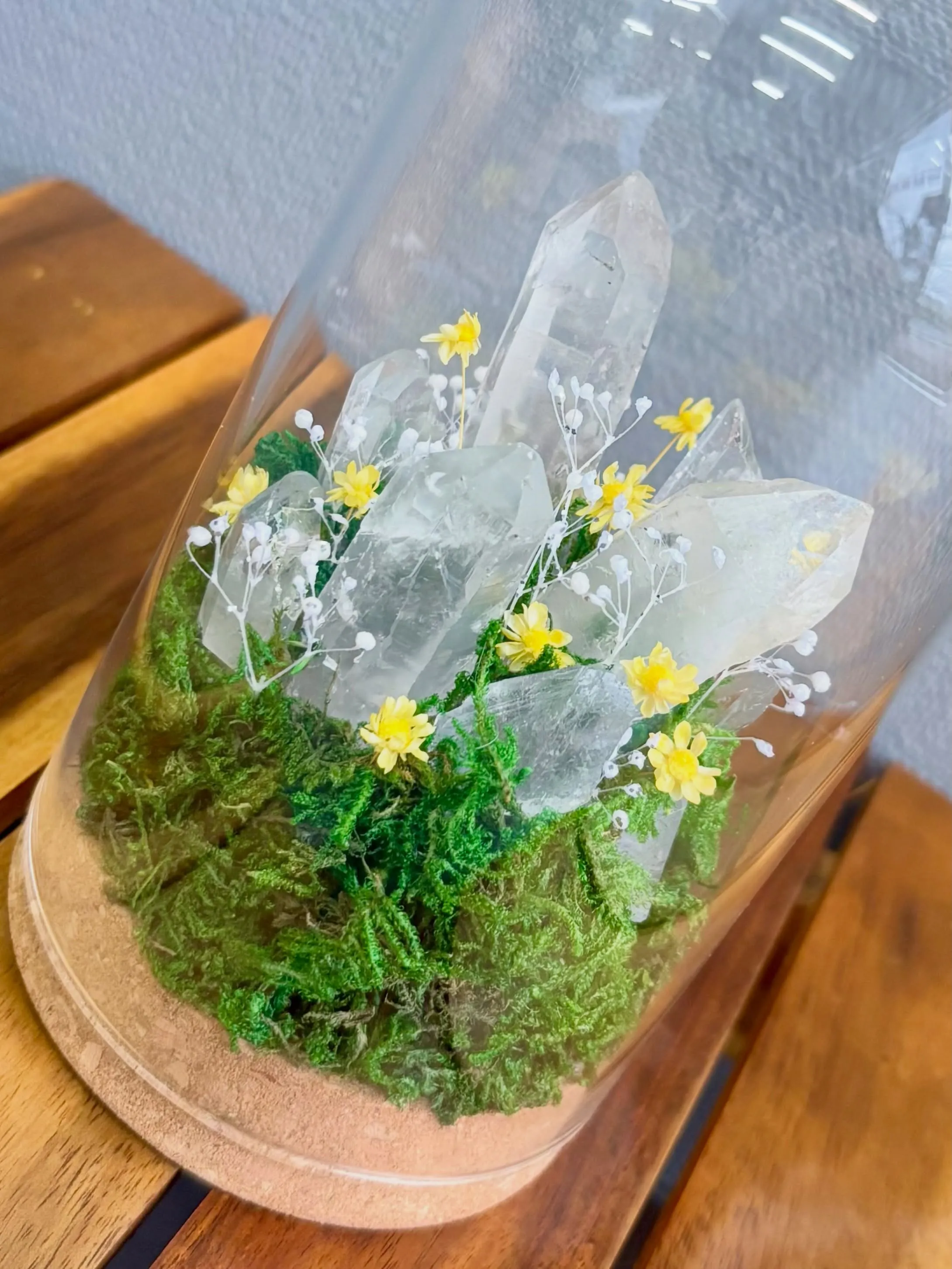 《ジュエリウム新作登場💎🌸》 
