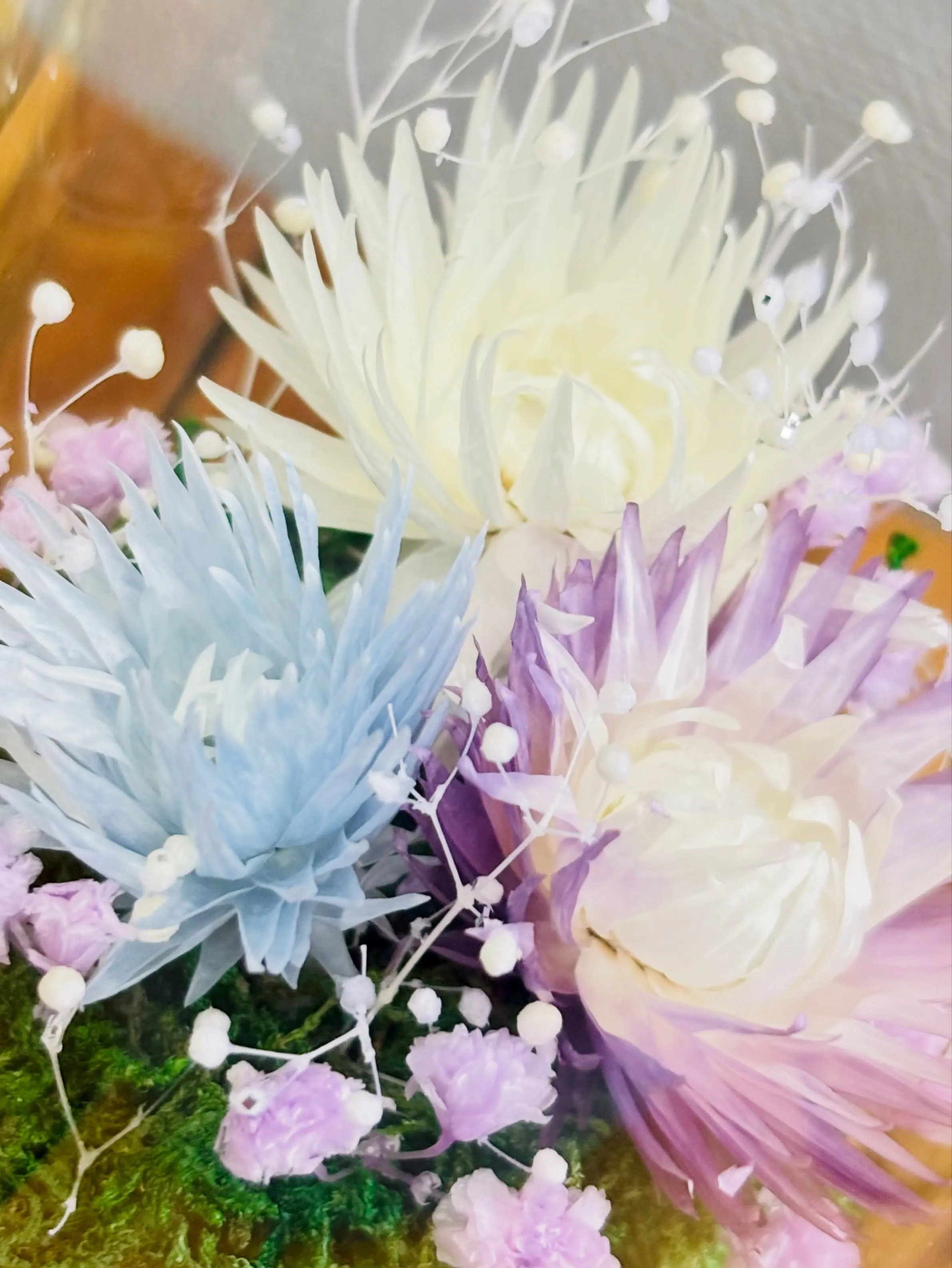 《ジュエリウム新作登場💎🌸》 