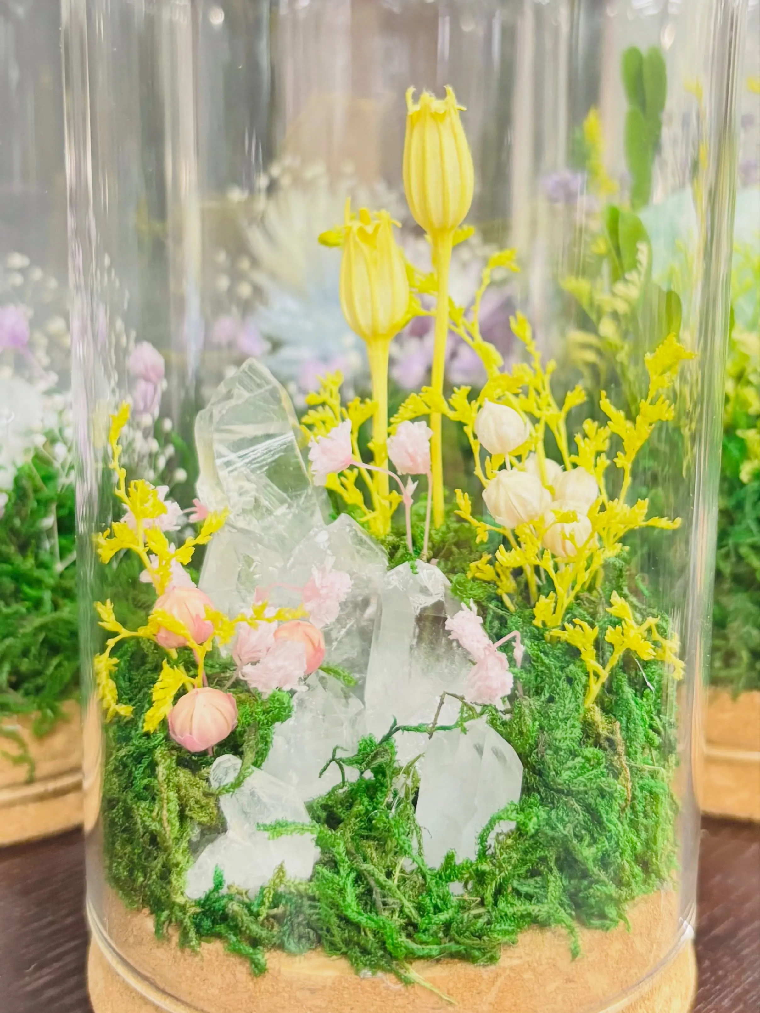 《ジュエリウム新作登場💎🌸》 