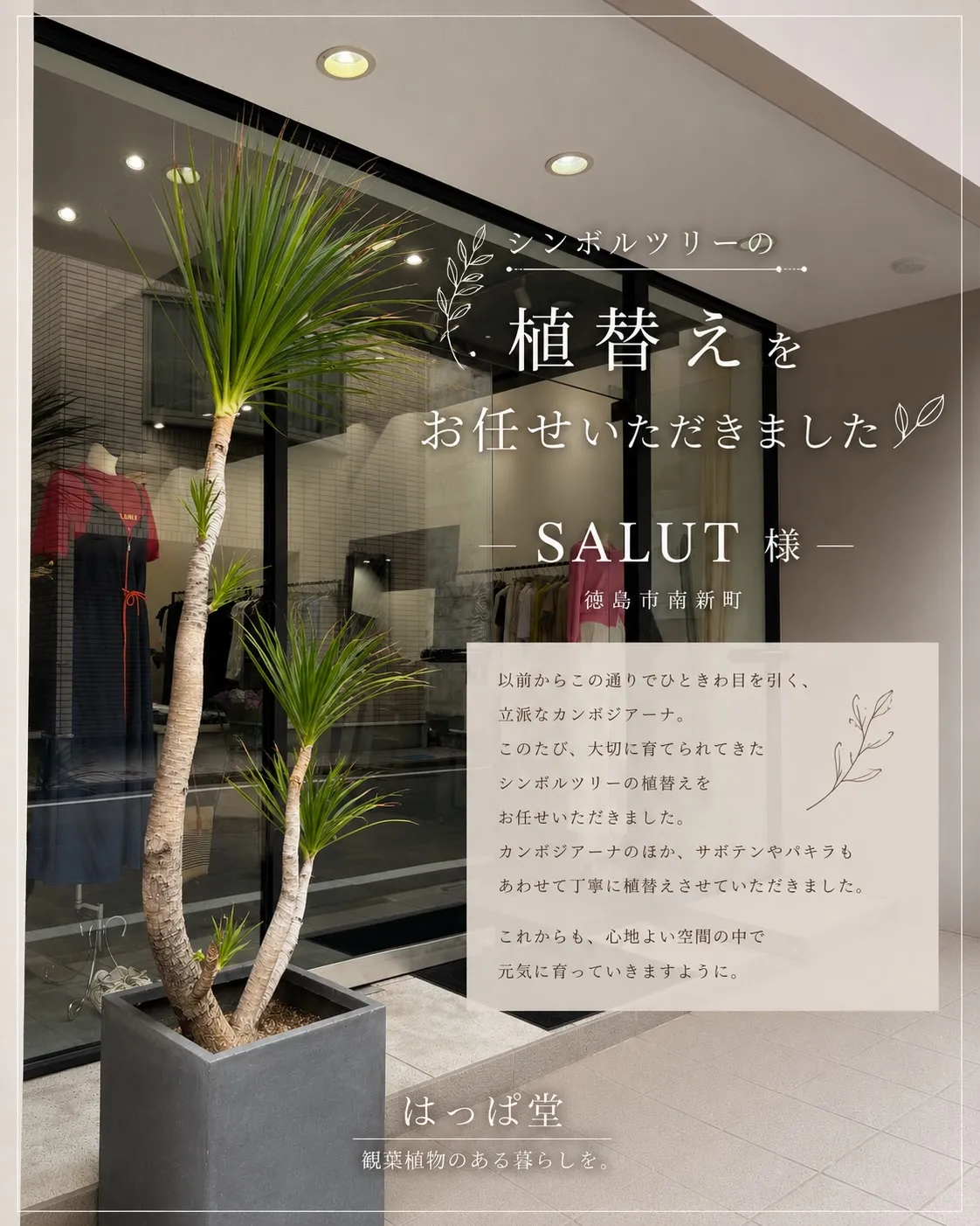 《ずっと気になっていた“あの植物”を任せていただきました🌿》
