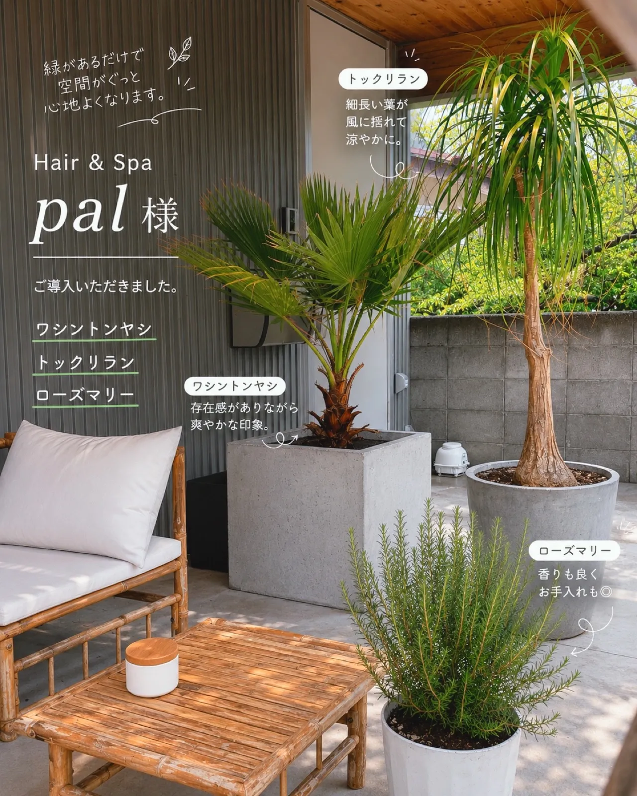 《空間が変わると、第一印象も変わる🌿 Hair & Spa ...
