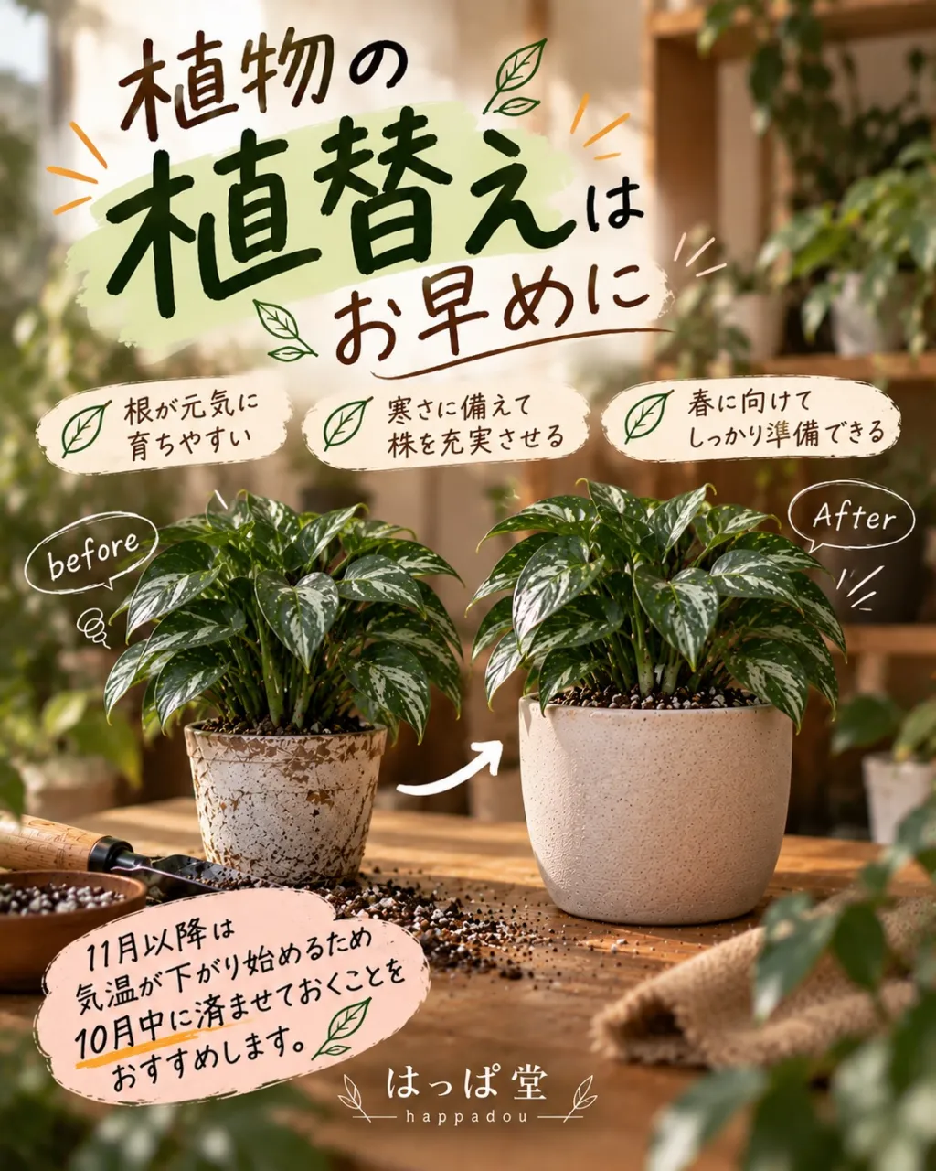10月の営業スケジュールです🌿
