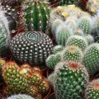 プライバシーポリシー