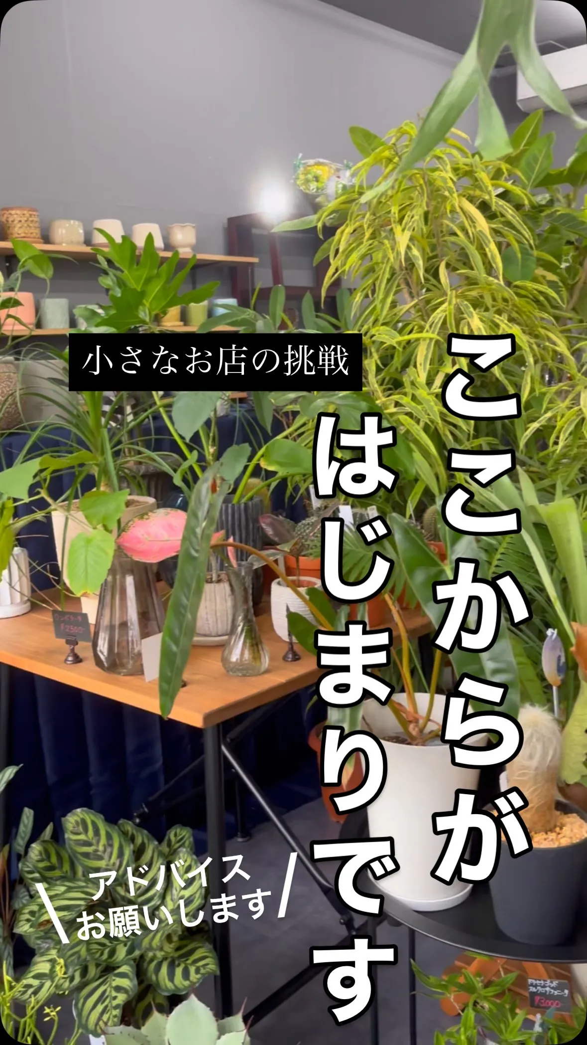 正直、自分でも気になっていた売場。